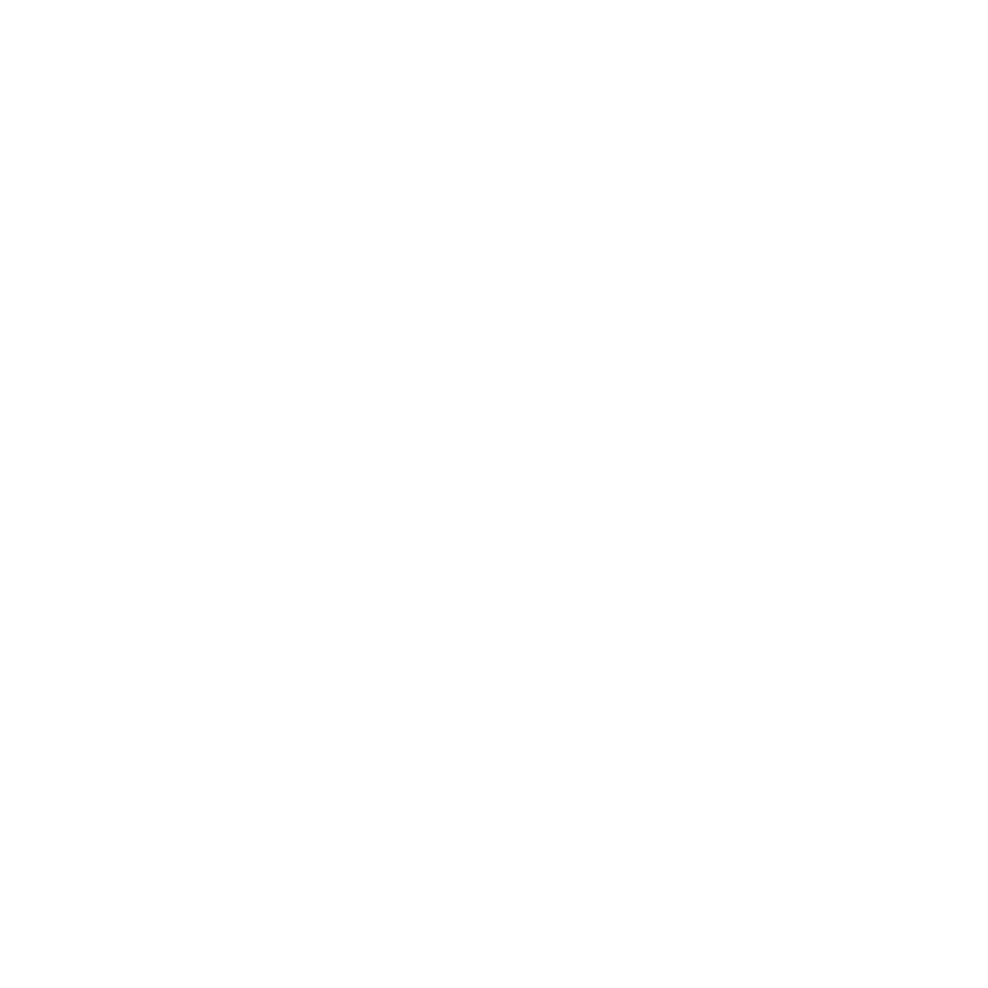 cxmacademy_white_transparant